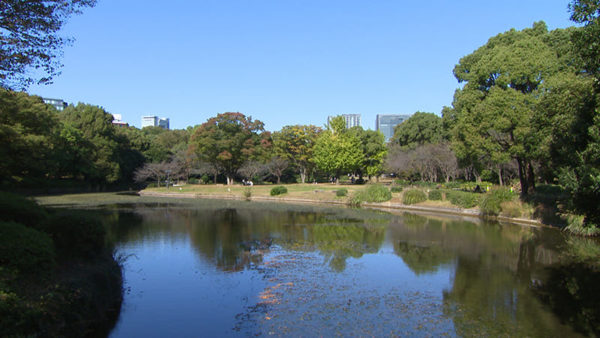 皇居外苑 北の丸公園