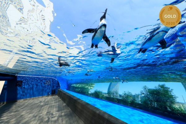 サンシャイン水族館 天空ぺんぎん