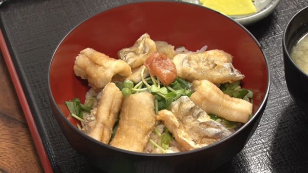 和歌山 有田市 マルキ食堂 たちうお丼