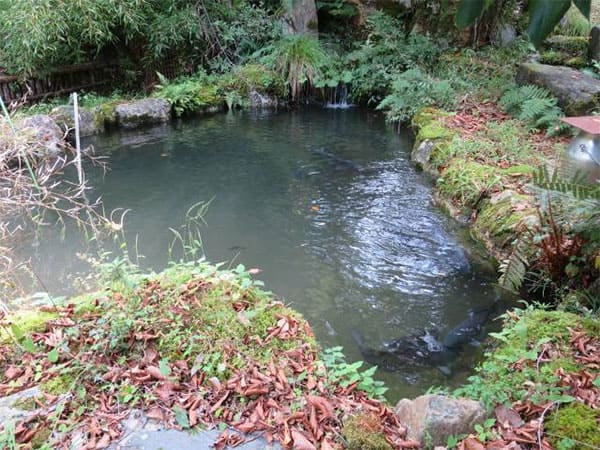 よーいドン あいLOVE 週末 田舎暮らし 京都府 京丹波町