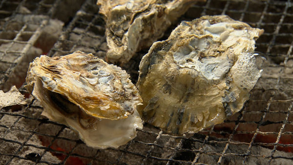 糸島 牡蠣小屋 のぶりん