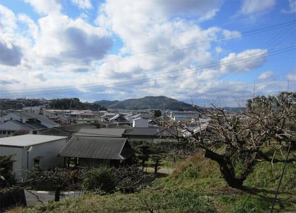 よ～いドン あいLOVE 週末 田舎暮らし 和歌山県 紀の川市