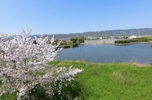 よ～いドン あいLOVE 週末 田舎暮らし 和歌山県 紀の川市