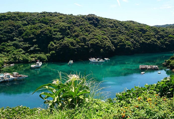 五島列島 中通島 桐教会 絶景