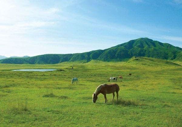 熊本 阿蘇 草千里ヶ浜