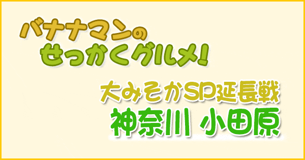 バナナマンのせっかくグルメ 神奈川 小田原 指原莉乃 さっしー 大晦日SP 延長戦