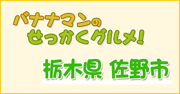 バナナマンのせっかくグルメ 栃木県 佐野市 上白石萌音 菜々緒