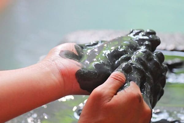 よ～いドン！ たむらけんじ いきなり日帰りツアー 応援スペシャル 鹿児島 お取り寄せ さくらさくら温泉 洗顔石鹸