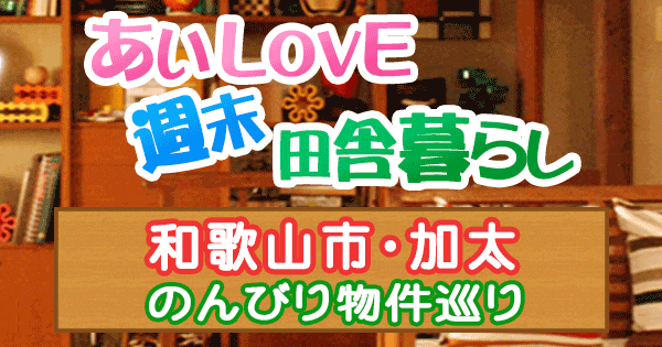 よーいドン あいLOVE 週末 田舎暮らし 和歌山市 加太