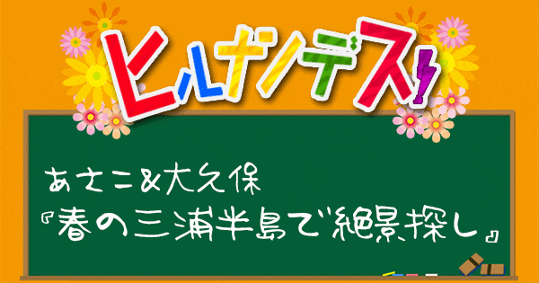 ヒルナンデス オトナ女子旅 いとうあさこ 大久保佳代子 三浦半島