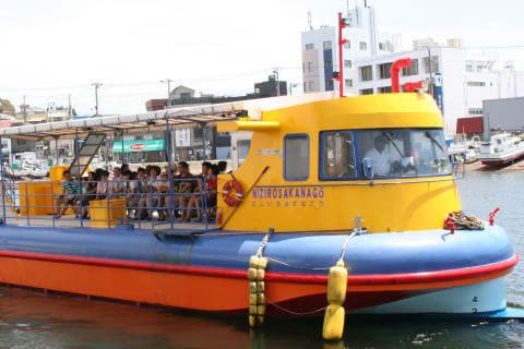 ヒルナンデス オトナ女子旅 いとうあさこ 大久保佳代子 三浦半島 観光船 にじいろさかな号