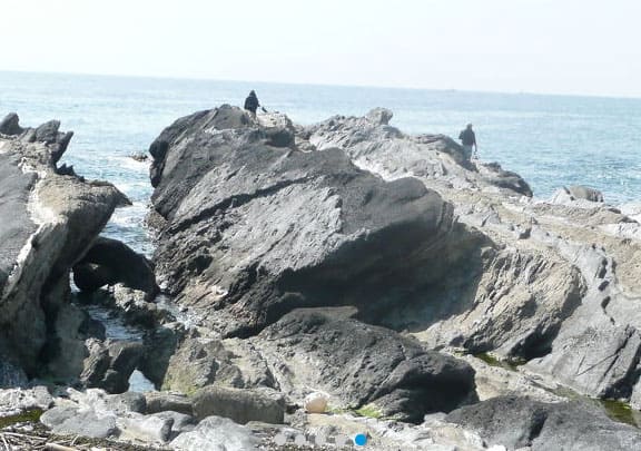 ヒルナンデス オトナ女子旅 いとうあさこ 大久保佳代子 三浦半島