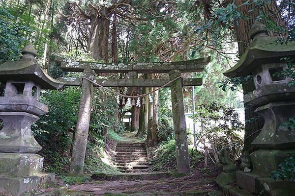 よ～いドン！ たむらけんじ いきなり日帰りツアー 下見ツアー 大分 直入町 籾山八幡社