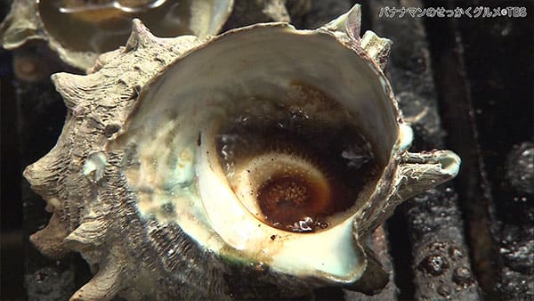 バナナマンのせっかくグルメ 静岡 沼津市 浜焼き しんちゃん サザエ