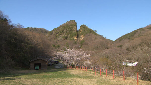 佐渡金山 採掘跡 道遊の割戸