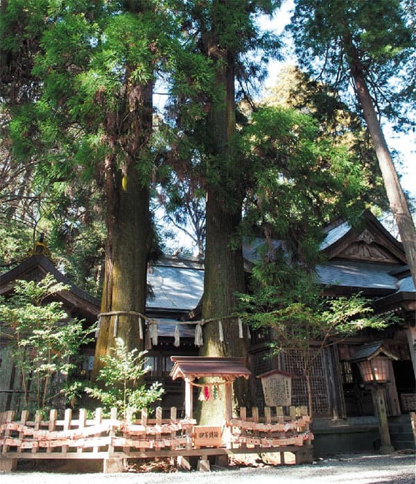 よ～いドン 日帰りツアー お取り寄せ 応援スペシャル 高千穂神社