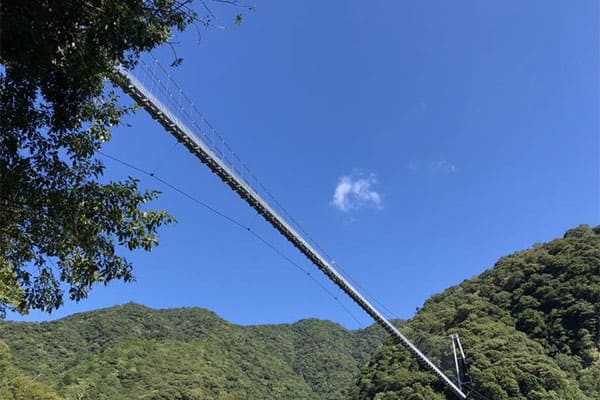 よ～いドン 日帰りツアー お取り寄せ 応援スペシャル 吊り橋