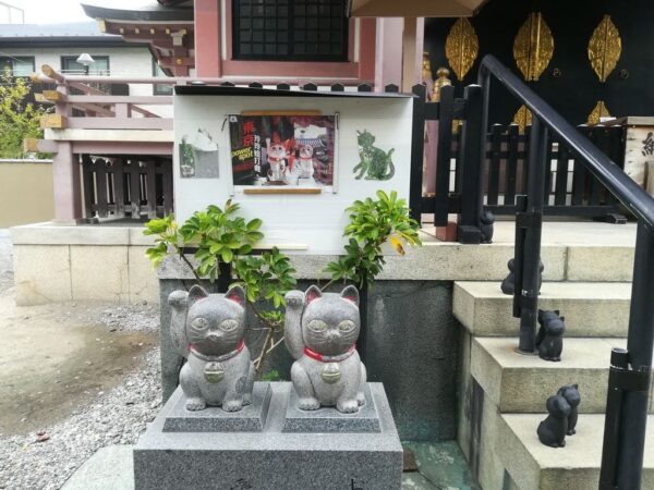 今戸神社 招き猫