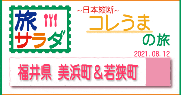 旅サラダ コレうま 福井 美浜町 若桜町