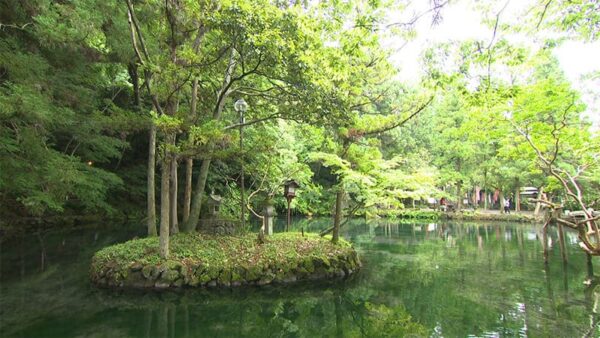 栃木 佐野 湧水 出流原弁天池