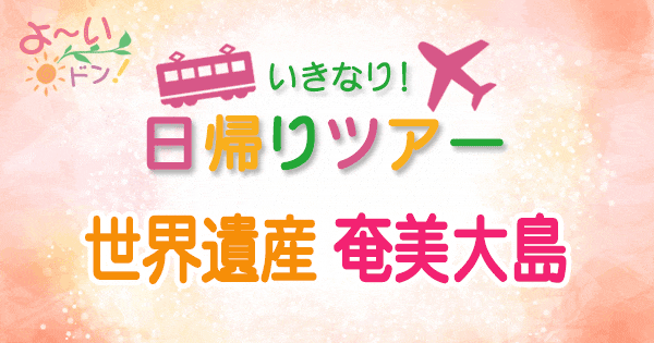 よーいドン いきなり日帰りツアー 世界遺産 奄美大島