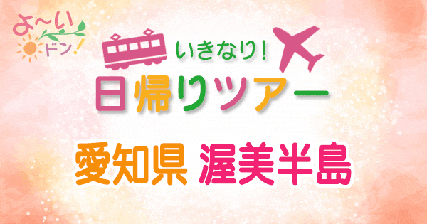 よーいドン いきなり日帰りツアー 愛知県 渥美半島