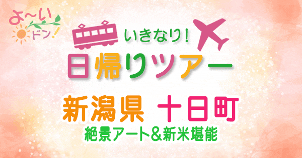 よーいドン いきなり日帰りツアー 新潟 十日町 絶景アート＆新米堪能