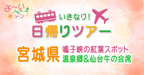 よーいドン いきなり日帰りツアー 宮城 鳴子峡 紅葉スポット 温泉郷 仙台牛の会席