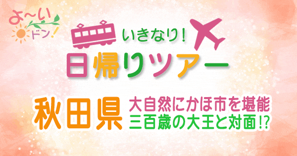 よーいドン いきなり日帰りツアー 秋田 にかほ市