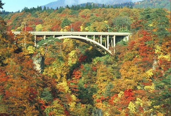 よーいドン いきなり日帰りツアー 宮城 鳴子峡 紅葉スポット