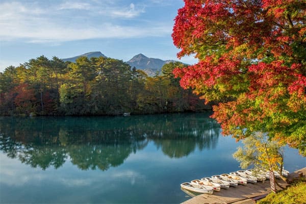 よーいドン いきなり日帰りツアー 福島県 裏磐梯