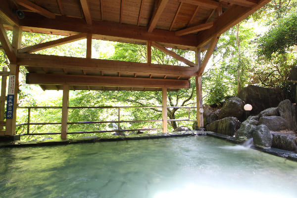 帰れマンデー 秩父温泉 満願の湯