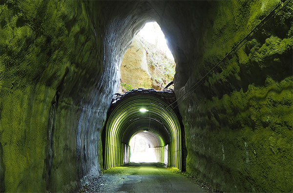 帰れマンデー 千葉 養老渓谷 向山・共栄トンネル