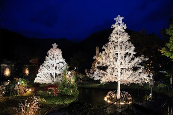 箱根ガラスの森美術館 クリスタル・ガラス クリスマスツリー