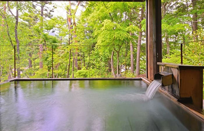 栃木 日光 星の宿 日光温泉 夢想の湯 美肌の湯