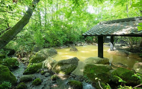 大分 九重町 九重九湯 筌の口温泉 旅館 新清館 露天風呂 野天