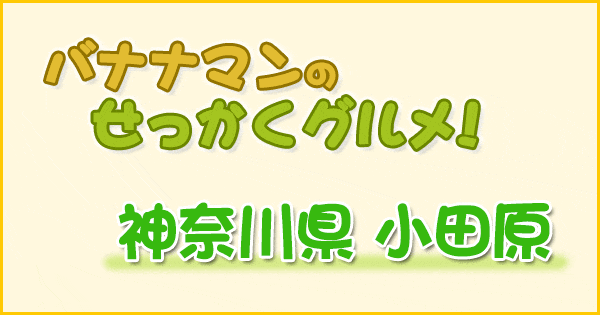 バナナマンのせっかくグルメ 神奈川 小田原