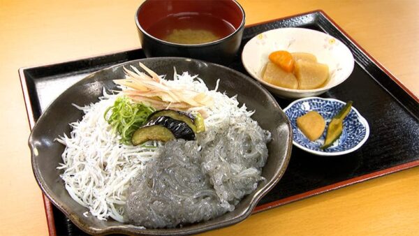 高知 安芸しらす食堂釜揚げちりめん丼 プラスどろめし 生しらす