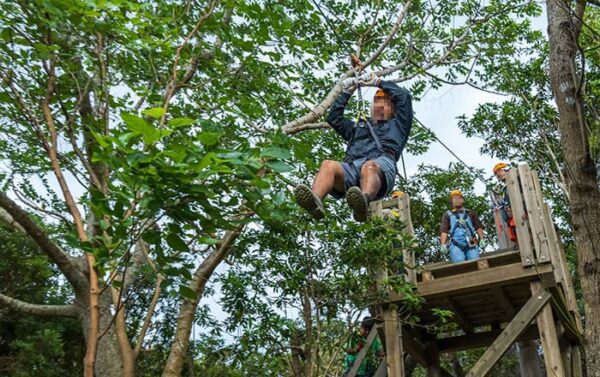 旅サラダ 沖縄 やんばるアドベンチャーフィールド ジップライン