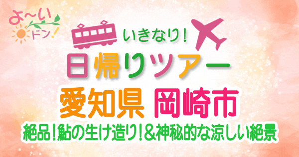 よーいドン いきなり日帰りツアー 愛知 岡崎