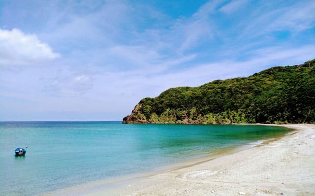 旅サラダ ゲストの旅 奄美大島