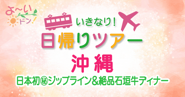 よーいドン いきなり日帰りツアー 沖縄