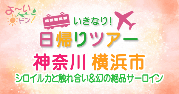 よーいドン いきなり日帰りツアー 神奈川 横浜