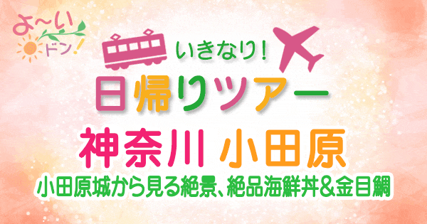 よーいドン いきなり日帰りツアー 神奈川 小田原