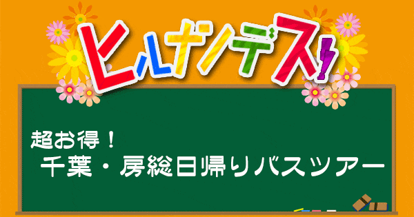 ヒルナンデス バスツアー 申込み方法 スケジュール 料金