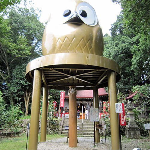 フクロウの神社 鷲子山上神社