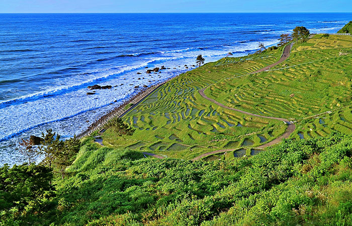 石川 能登 輪島 白米千枚田