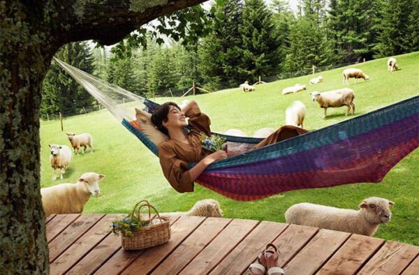 北海道 トマム ファームエリア 羊とお昼寝ハンモック