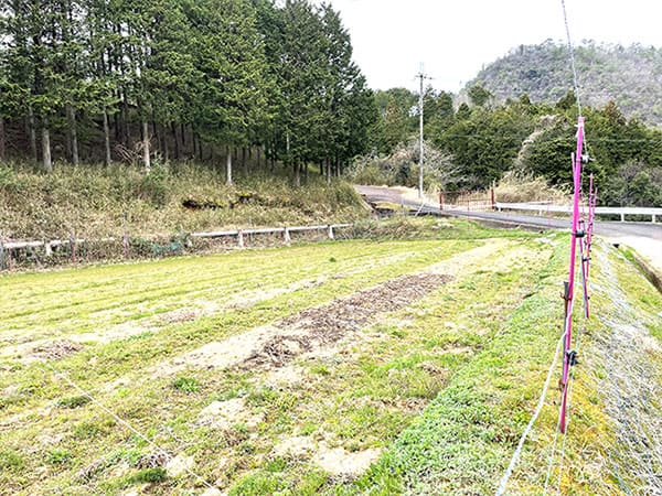 よ～いドン あいLOVE 週末 田舎暮らし 京都府 京丹波町 南丹市