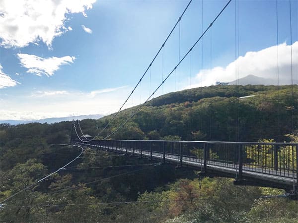 よーいドン いきなり日帰りツアー 栃木 那須高原